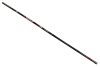 CARP EXPERT SPECIALIST POLE 6,00*6