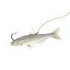 Zander Strong 6 5db/cs