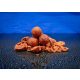 Bait Bait Lázadó Bojli - Tartósított  20 mm 1 Kg baitbait