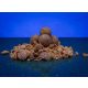 Bait Bait Lelkész Bojli - Tartósított  30 mm 1 Kg baitbait