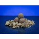 Bait Bait Rodin (A Gondolkodó) Bojli - Tartósított  24 mm 1 Kg baitbait