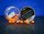 Bait Bait Tüzes Barack - Fluo Wafters Mini Bojli+Betain 11mm 20 g baitbait