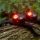 RIDGEMONKEY VRH150X PRO USB RECHARGEABLE HEADTORCH